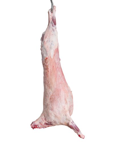 Lamb Carcass