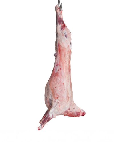 Lamb Carcass